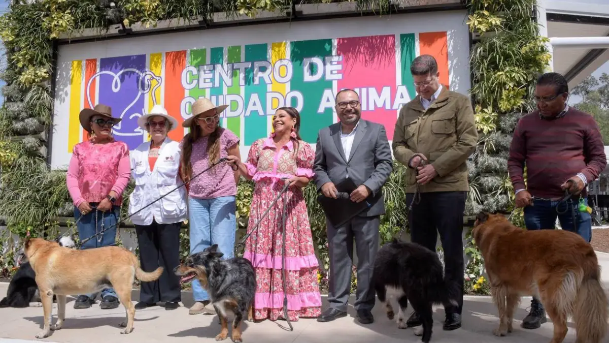 cdmx xolotl albergue perros gatos